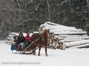 Sleigh ride