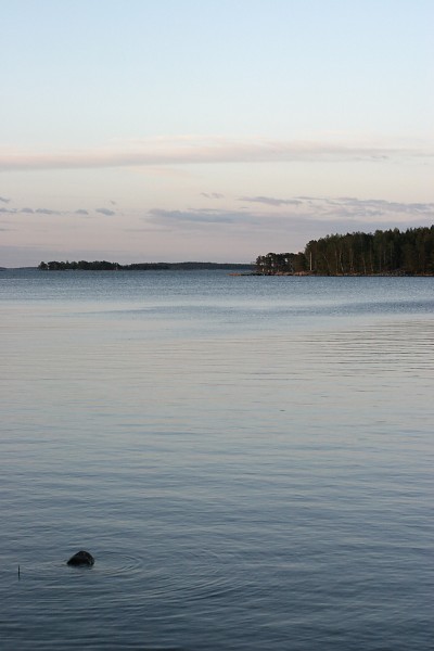 Navakkaa tuulta, sadetta