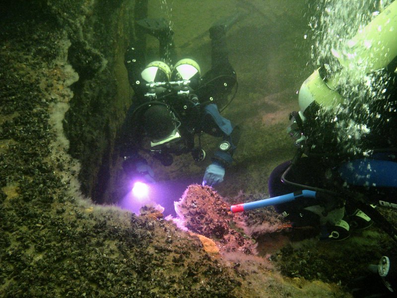 Wreck diving